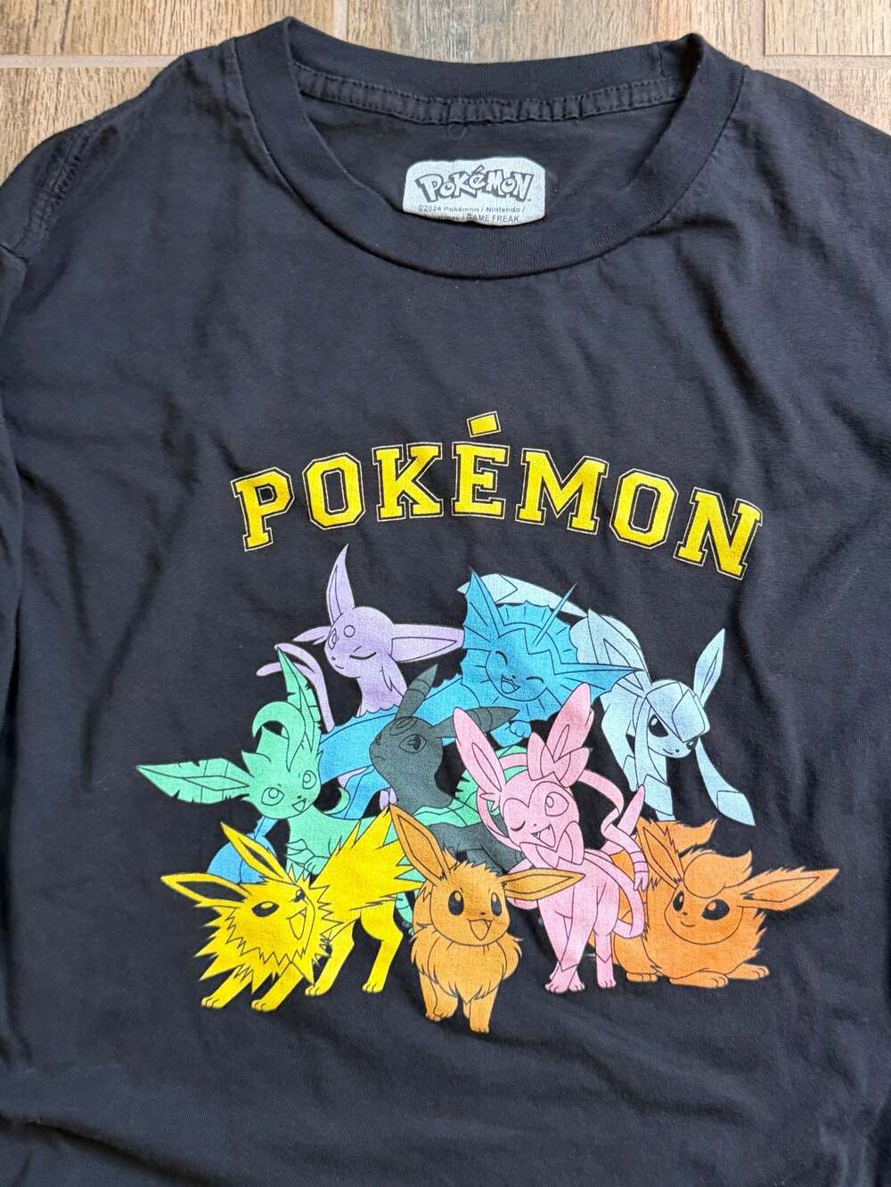 Pokémon Eeveelutions Group Graphic Long Sleeve T-Shirt